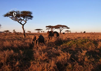 África do Sul